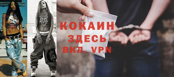 ПСИЛОЦИБИНОВЫЕ ГРИБЫ Бородино