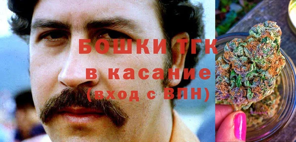 ПСИЛОЦИБИНОВЫЕ ГРИБЫ Бородино