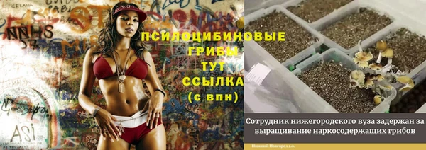 ПСИЛОЦИБИНОВЫЕ ГРИБЫ Бородино