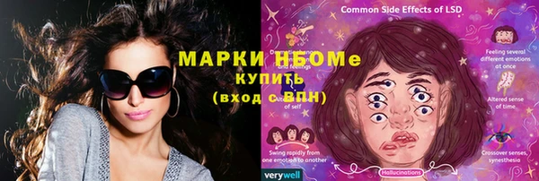 ПСИЛОЦИБИНОВЫЕ ГРИБЫ Бородино