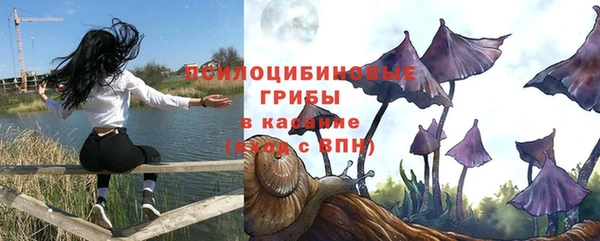 МДПВ Бугульма