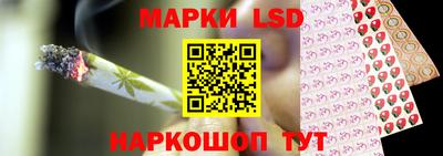 Альфа ПВП Кандалакша