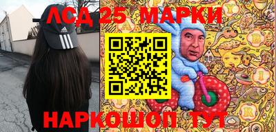 Альфа ПВП Кандалакша