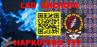 прущие крисы Камышлов