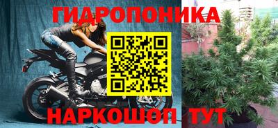 Альфа ПВП Кандалакша