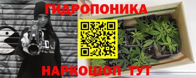 PSILOCYBIN Канаш