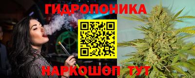 Альфа ПВП Кандалакша