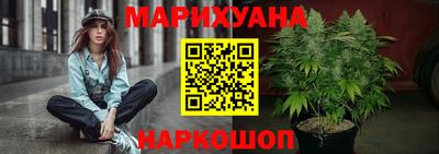 прущие крисы Камышлов