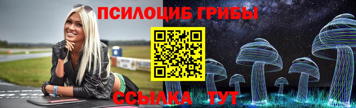 Буйнакск  Галлюциногенные грибы мицелий  Псилоцибиновые грибы Psilocybe  Вход с VPN 
